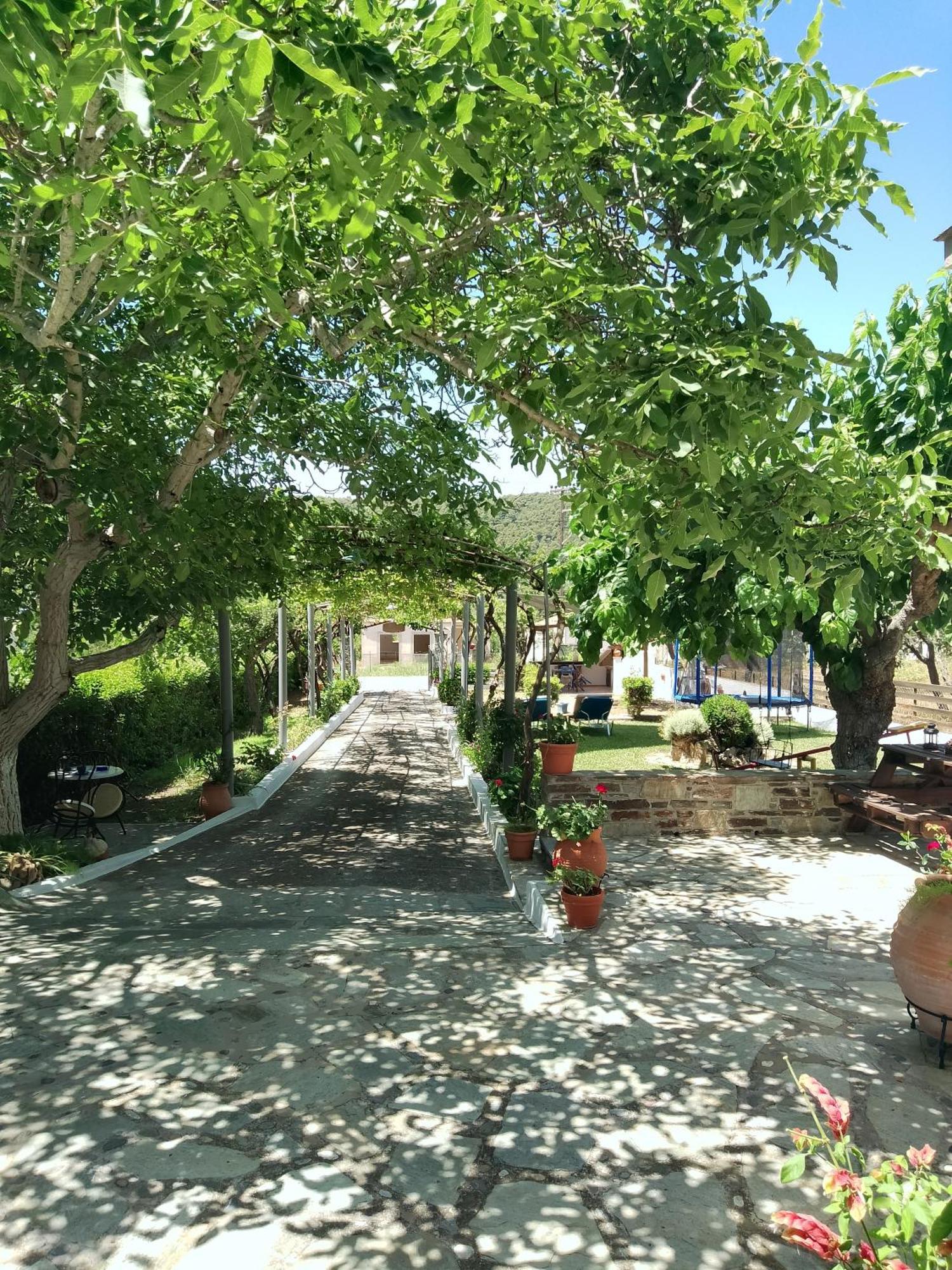 Alexandra Studios สตาฟิลอส ภายนอก รูปภาพ